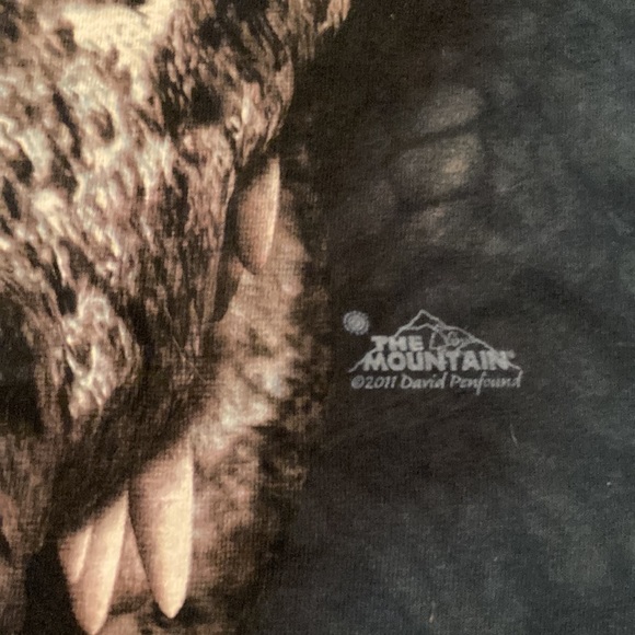 The Mountain Alligator Green Tye-Dye T-Shirt Size L - Picture 2 of 4